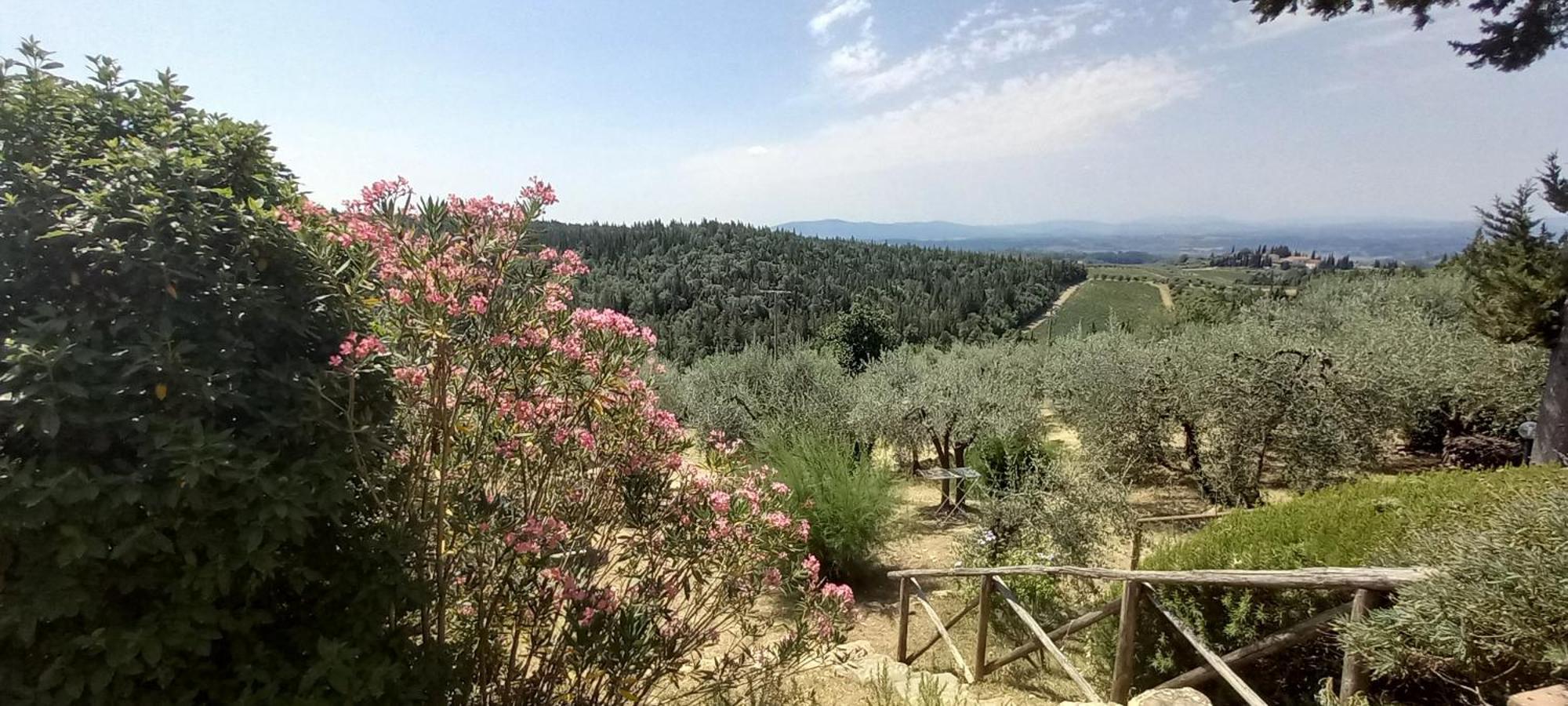 Borgo Nel Chianti Istrice Con Piscina Tennis E Wifi Castellina in Chianti Eksteriør bilde